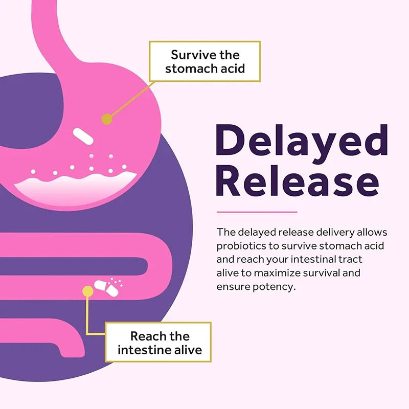 Women’s Probiotic – Gut, Digestion & Bloating Relief