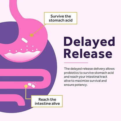 Women’s Probiotic – Gut, Digestion & Bloating Relief