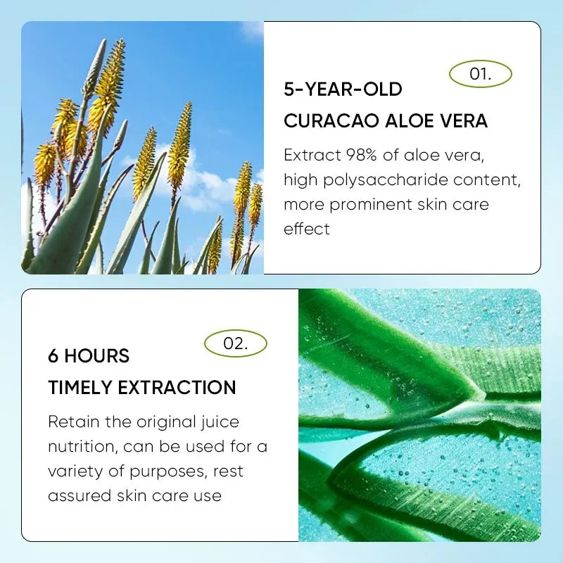 Lip Aloe Balm – Nourishing, Hydrating & Repairing Lip Care