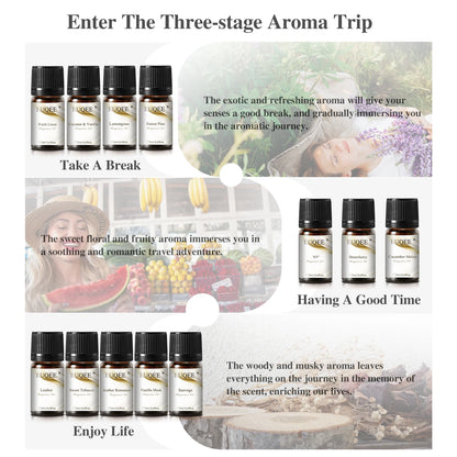 EUQEE 12 Bottles Fragrance Oils Set – Coconut, Vanilla, Amber, Pine, Leather & More